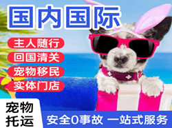 昆冈航空运输国际宠物托运 【国
